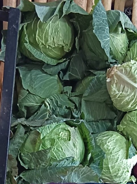 Col Verde