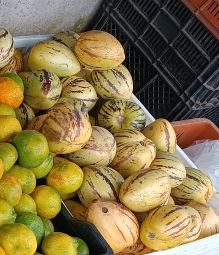 Pepino