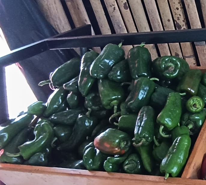 Pimiento Verde