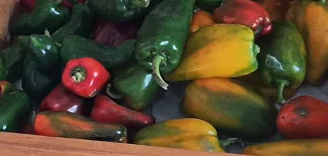 Pimiento Rojo