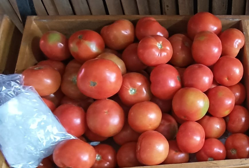 Tomate Riñón