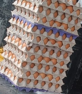 Huevos