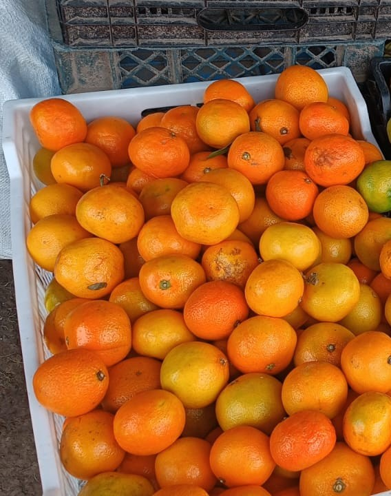 Mandarina